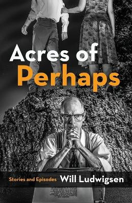Acres of Perhaps by Will Ludwigsen 9781590213650