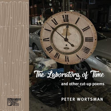 The Laboratory of Time by Peter Wortsman 9781962316057
