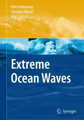 Extreme Ocean Waves by Efim N. Pelinovsky 9789048178391