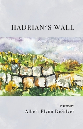 Hadrian's Wall by Albert Flynn Desilver 9798888383469