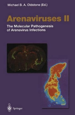 Arenaviruses II: The Molecular Pathogenesis of Arenavirus Infections by Michael B. A. Oldstone 9783642627248