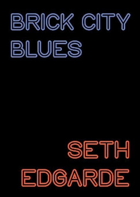 Brick City Blues by Seth Edgarde 9781610530408