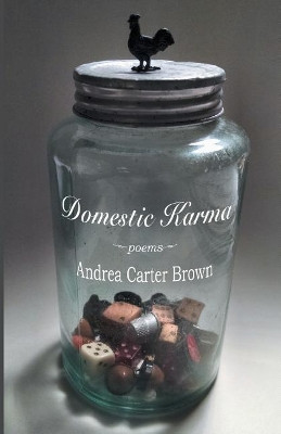 Domestic Karma by Andrea Carter Brown 9781635347319