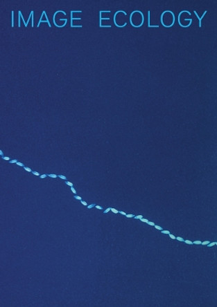 Image Ecology by Boaz Levin 9783959057660