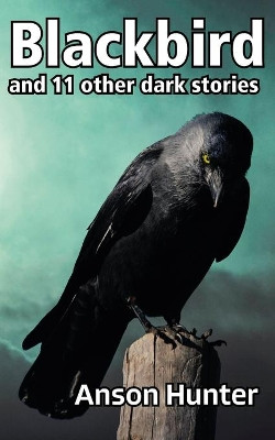Blackbird: and 11 other dark stories by Anson Hunter 9781838188764