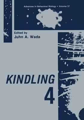 Kindling 4 by Juhn A. Wada 9781468457988