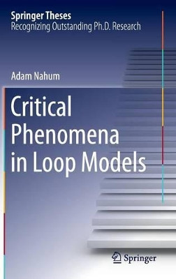 Critical Phenomena in Loop Models by Adam Nahum 9783319064062
