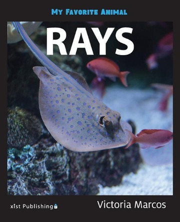 My Favorite Animal: Rays by Victoria Marcos 9781532405990
