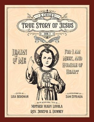 A Child's True Story of Jesus, Book 2 by Lisa Bergman 9781640510678