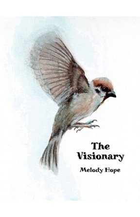 The Visionary by Melody Hope 9798227559234