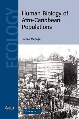 Human Biology of Afro-Caribbean Populations by Lorena Madrigal 9781107406018