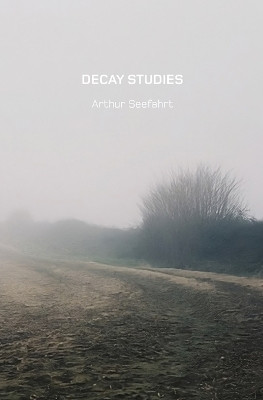 Decay Studies U.S. Edition by Arthur Seefahrt 9781989305201