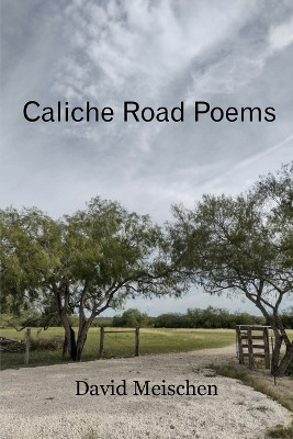 Caliche Road Poems by David Meischen 9781962148030