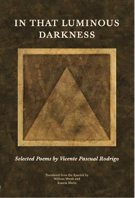 In That Luminous Darkness: Selected Poems by Vicente Pascual Rodrigo by Vicente Pascual Rodrigo 9781908092199