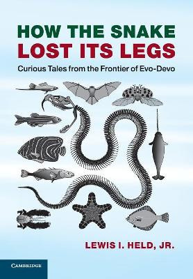 How the Snake Lost its Legs: Curious Tales from the Frontier of Evo-Devo by Lewis I. Held, Jr. 9781107621398