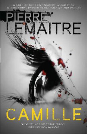 Camille: The Final Paris Crime Files Thriller by Pierre Lemaitre