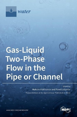 Gas-Liquid Two-Phase Flow in the Pipe or Channel by Maksim Pakhomov 9783036533872