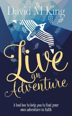 Live An Adventure: A tool box to help you to find your own adventure in faith by David King 9781861518675