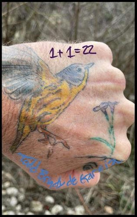 1+1= 22: The Math of God by Todd Brady de Garcia 9781965064689