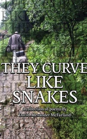 They Curve Like Snakes by David Alexander McFarland 9781952869501