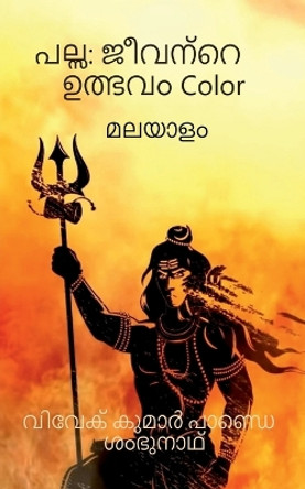 Palsa by Vivek Pandey 9798887725697