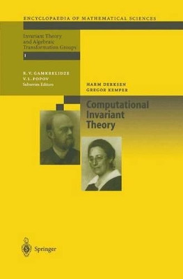 Computational Invariant Theory by Harm Derksen 9783642077968