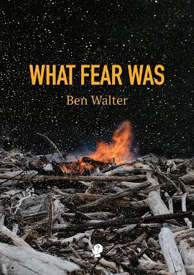 What Fear Was by Ben Walter 9781922571205