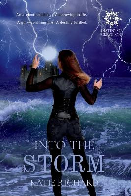 Into The Storm by Katie Richard 9781737145349