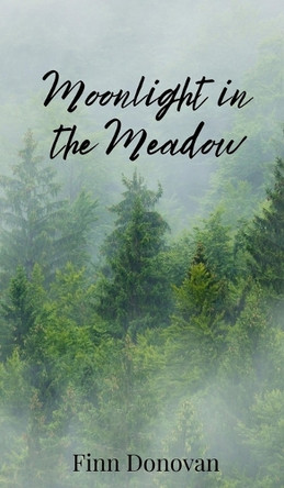 Moonlight in the Meadow by Finn Donovan 9781805672401