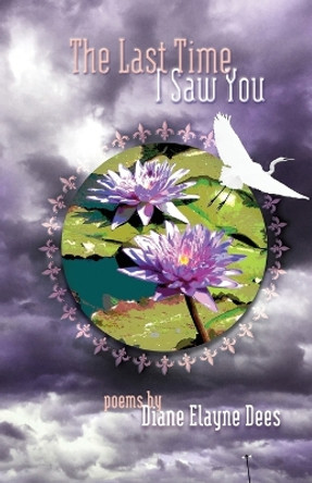 The Last Time I Saw You by Diane Elayne Dees 9781646629909