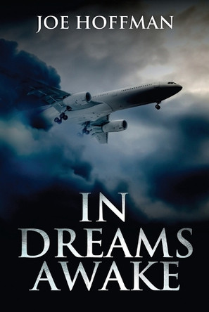 In Dreams Awake by Joe Hoffman 9798893896916