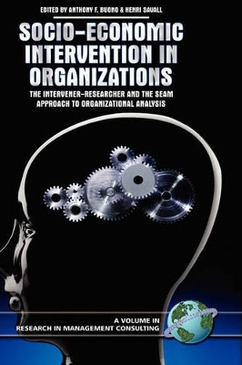 Socio-economic Intervention in Organizations: The Intervener-researcher and the SEAM Approach to Organizational Analysis by Anthony F. Buono 9781593116224