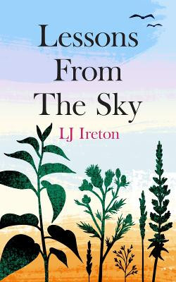 Lessons From the Sky by LJ Ireton 9781739741457