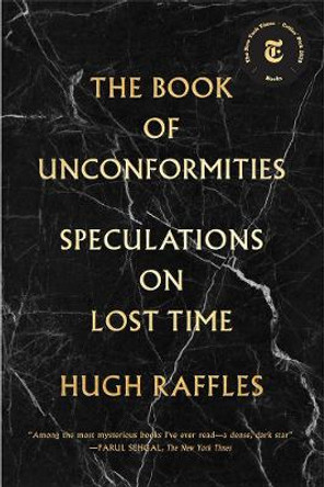 The Book of Unconformities: Speculations on Lost Time by Hugh Raffles