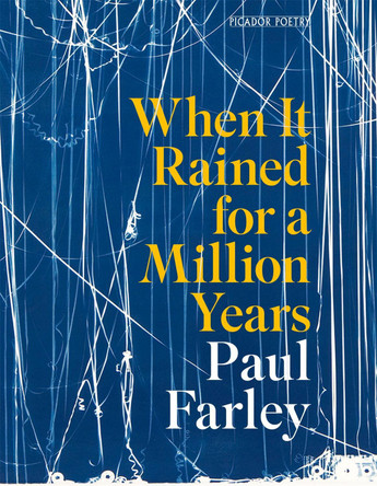 When It Rained for a Million Years by Paul Farley 9781035068678