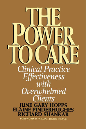 Power to Care: Clinical Practice Effectiveness With Overwhelmed Clients by Elaine Pinderhughes 9781416576389
