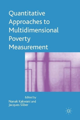 Quantitative Approaches to Multidimensional Poverty Measurement by J. Silber 9781349281657