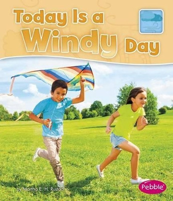 What is the Weather Today? Today is a Windy Day by Martha E H Rustad 9781496609458