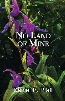 No Land of Mine by Daniel R Pfaff 9798218098933