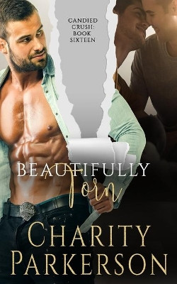 Beautifully Torn by Charity Parkerson 9781946099884