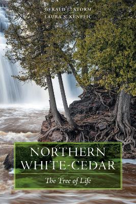 Northern White-Cedar: The Tree of Life by Gerald L Storm