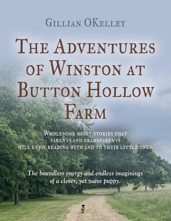 The Adventures of Winston at Button Hollow Farm by Gillian Okelley 9781958892930