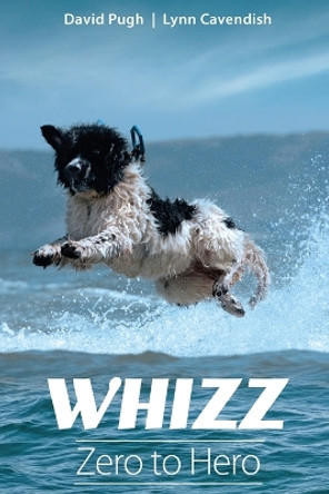 Whizz: Zero to Hero by David Pugh 9781915662750