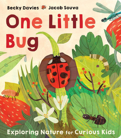 One Little Bug by Becky Davies