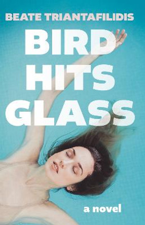 Bird Hits Glass by Beate Triantafilidis