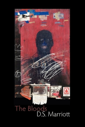 The Bloods by D. S. Marriott 9781848611511