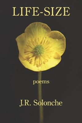 Life-Size by J R Solonche 9781639800551