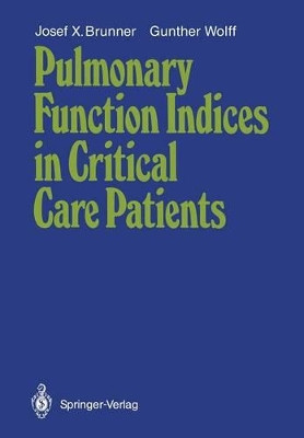 Pulmonary Function Indices in Critical Care Patients by Josef X. Brunner 9783540184324