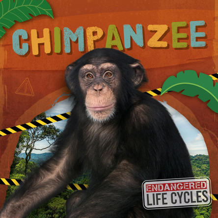 Chimpanzee E.C. Andrews 9798893593945