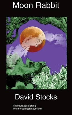 Moon Rabbit by David Stocks 9781847478382